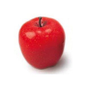 Playwood 빨간 사과 모양 쉐이커 1개 AFS-RAP뮤직메카